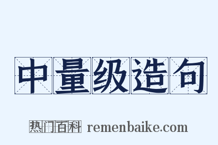 中量级造句是什么意思的图片